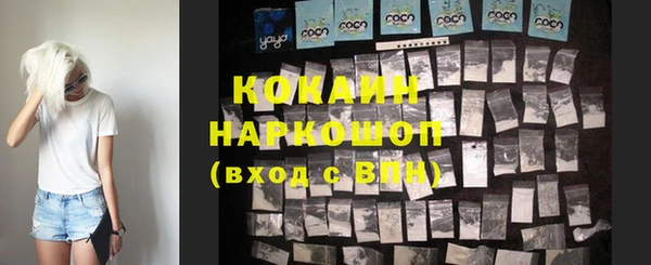 соль ск Алексин