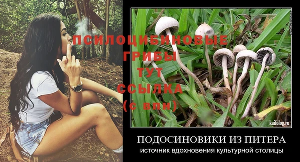 твердый Алзамай