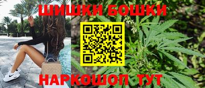 индика Бердск