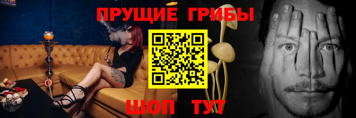 Белгород  Псилоцибиновые грибы прущие грибы  Галлюциногенные грибы GOLDEN TEACHER  Вход с VPN 